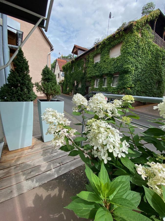 Wunderschoenes Studio Fuer Bis Zu 2 Personen Homburg  Екстериор снимка